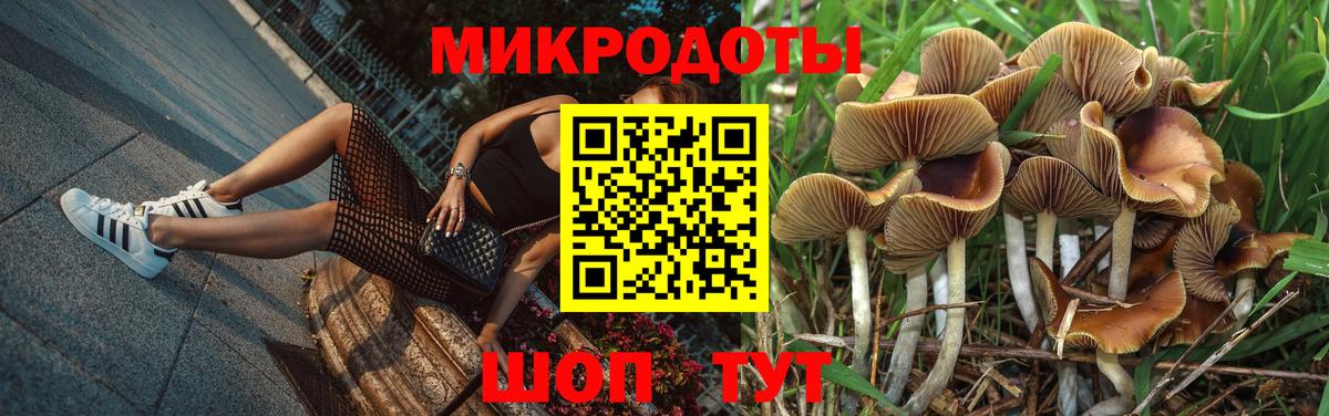 Славгород  Галлюциногенные грибы прущие грибы  Вход с VPN 